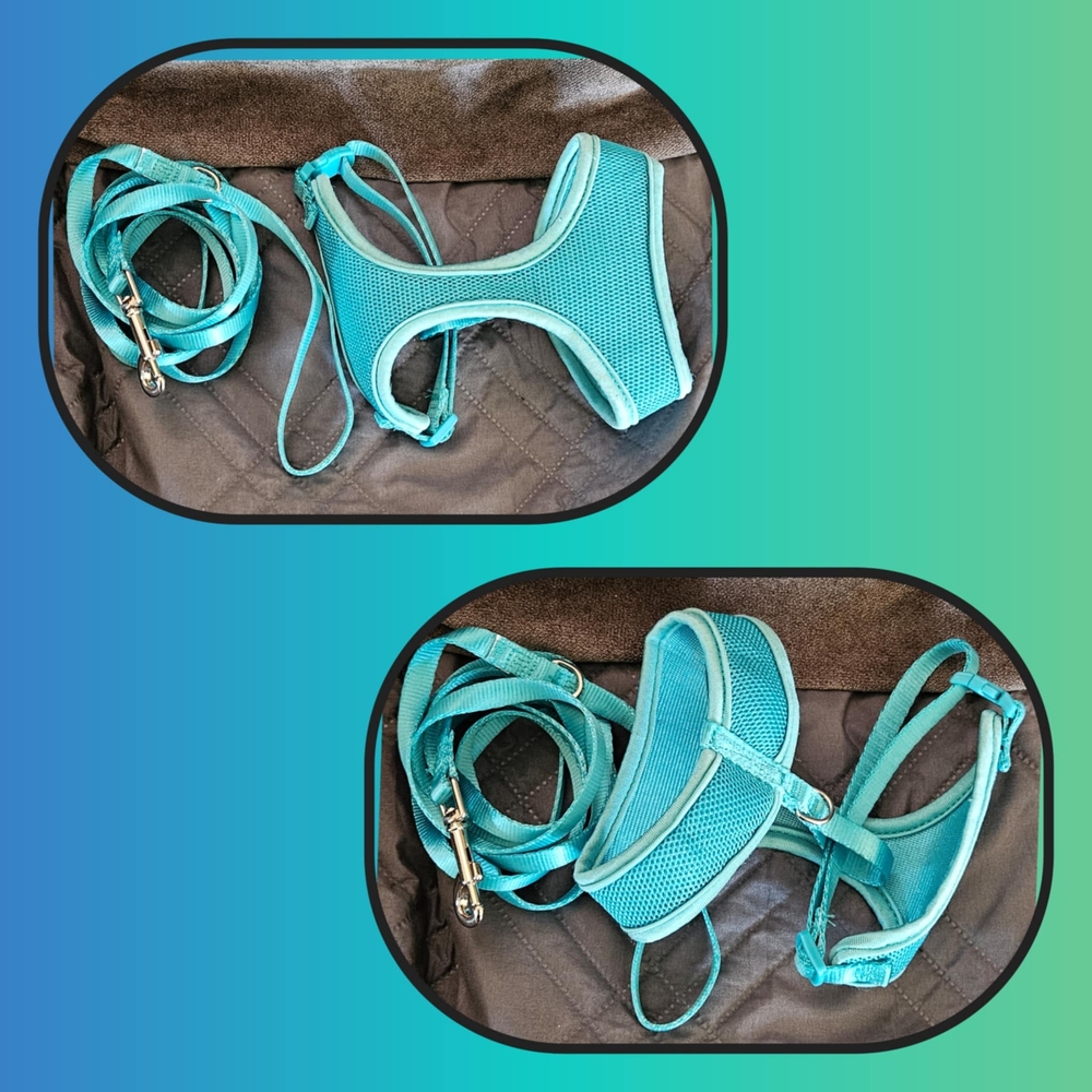 YOULY Mesh Cat Harness & Leash Set, Teal